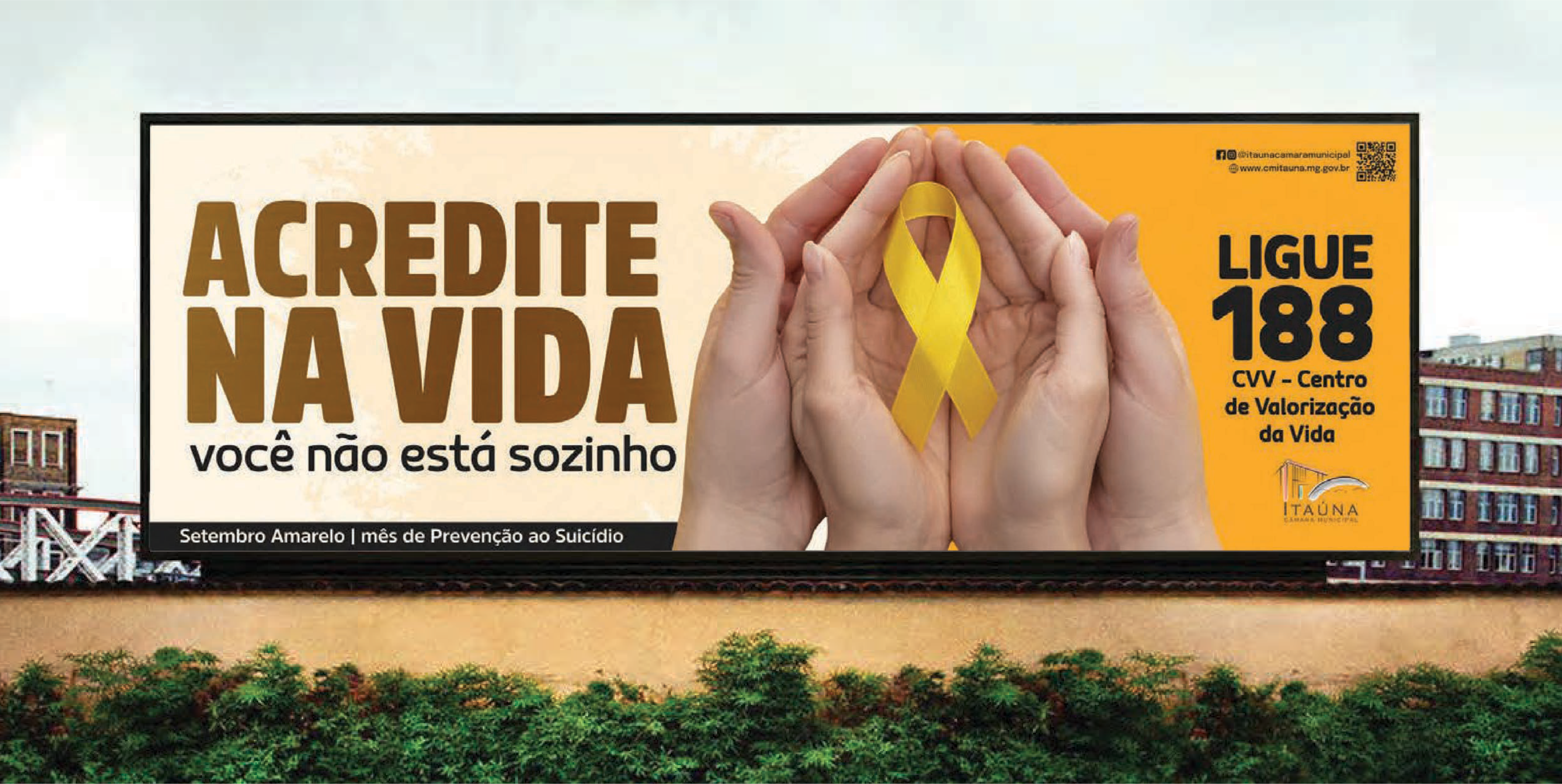 Imagem 5